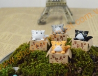 Mèo mini trong hộp