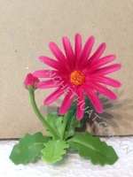 Hoa đất mini - Hoa Đồng Tiền - Mã 09