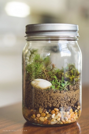 Lóa mắt với Terrarium nghệ thuật- trào lưu hot nhất 2015