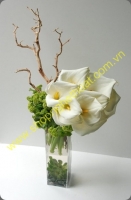 Cắm hoa nghệ thuật. Mã HNT 10