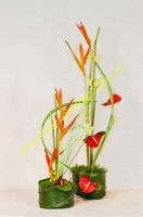 Cắm hoa nghệ thuật. Mã HNT 13