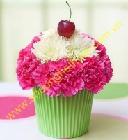 Cắm hoa nghệ thuật. Mã HNT 23