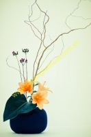 Cắm hoa nghệ thuật. Mã HNT 27