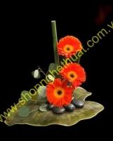 Cắm hoa nghệ thuật. Mã HNT 28