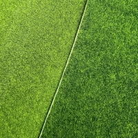 Thảm cỏ xanh 1mx1m sợi thấp