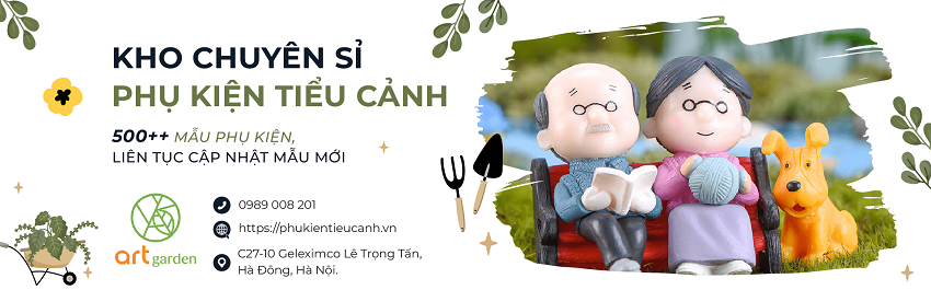 Phụ Kiện Tiểu Cảnh